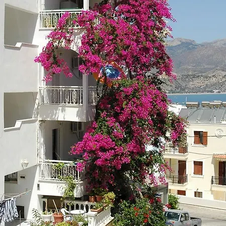 Roses