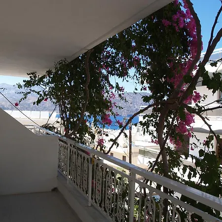 Apartment Roses Studios